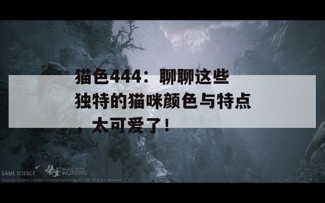 貓色444：聊聊這些獨特的貓咪顏色與特點，太可愛了！