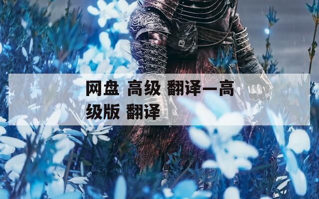 網(wǎng)盤 高級 翻譯—高級版 翻譯