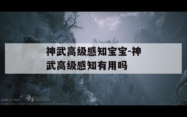 神武高級(jí)感知寶寶-神武高級(jí)感知有用嗎