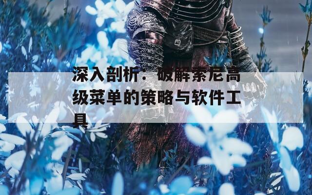 深入剖析：破解索尼高級(jí)菜單的策略與軟件工具