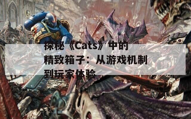 探秘《Cats》中的精致箱子：從游戲機制到玩家體驗