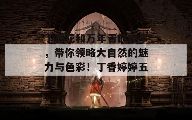 丁香花和萬年青的故事，帶你領(lǐng)略大自然的魅力與色彩！丁香婷婷五月