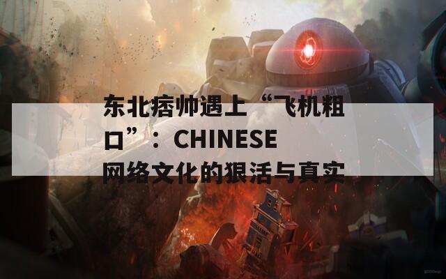 東北痞帥遇上“飛機粗口”：CHINESE網(wǎng)絡(luò)文化的狠活與真實