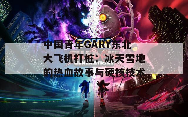 中國青年GARY東北大飛機打樁：冰天雪地的熱血故事與硬核技術