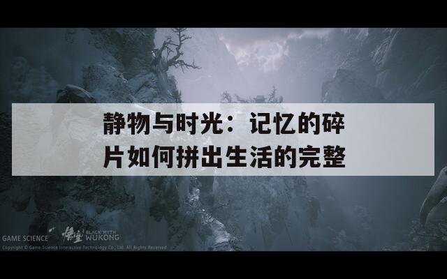 靜物與時(shí)光：記憶的碎片如何拼出生活的完整