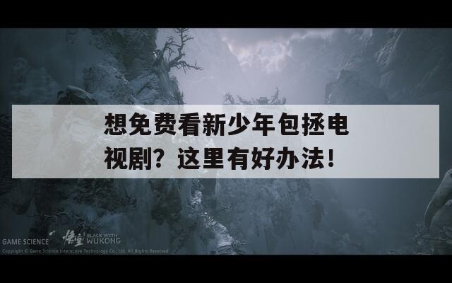 想免費看新少年包拯電視??？這里有好辦法！