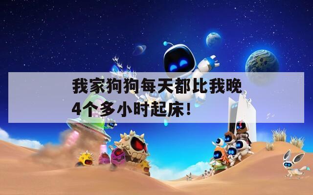 我家狗狗每天都比我晚4個(gè)多小時(shí)起床！