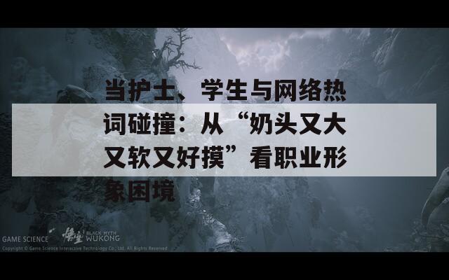 當(dāng)護(hù)士、學(xué)生與網(wǎng)絡(luò)熱詞碰撞：從“奶頭又大又軟又好摸”看職業(yè)形象困境