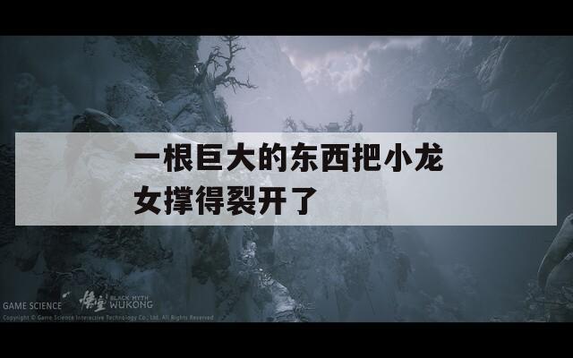 一根巨大的東西把小龍女撐得裂開了