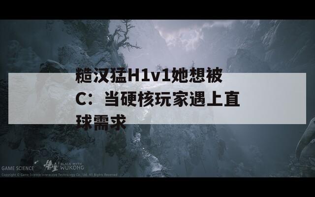 糙漢猛H1v1她想被C：當(dāng)硬核玩家遇上直球需求
