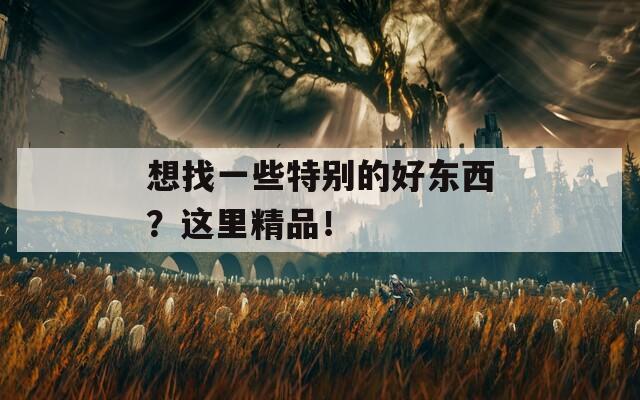 想找一些特別的好東西？這里精品！