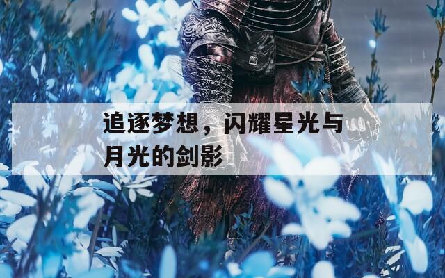 追逐夢(mèng)想，閃耀星光與月光的劍影