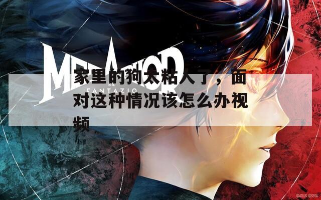 家里的狗太粘人了，面對這種情況該怎么辦視頻