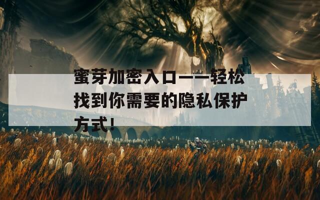 蜜芽加密入口——輕松找到你需要的隱私保護(hù)方式！