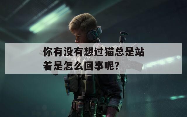 你有沒(méi)有想過(guò)貓總是站著是怎么回事呢？