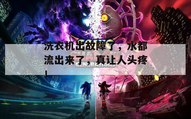 洗衣機出故障了，水都流出來了，真讓人頭疼！