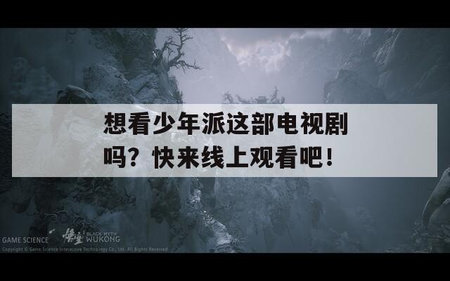 想看少年派這部電視劇嗎？快來線上觀看吧！