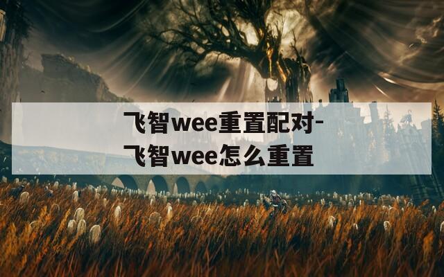 飛智wee重置配對(duì)-飛智wee怎么重置