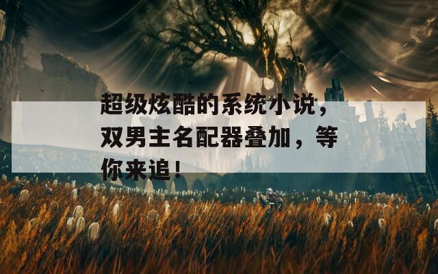 超級炫酷的系統(tǒng)小說，雙男主名配器疊加，等你來追！