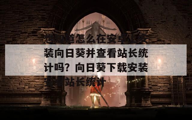 想知道怎么在安卓上安裝向日葵并查看站長統(tǒng)計嗎？向日葵下載安裝安卓站長統(tǒng)計