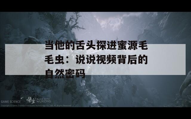當(dāng)他的舌頭探進(jìn)蜜源毛毛蟲：說說視頻背后的自然密碼