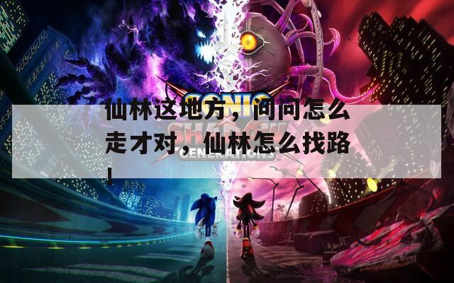 仙林這地方，問問怎么走才對，仙林怎么找路！