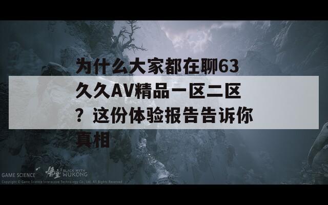 為什么大家都在聊63久久AV精品一區(qū)二區(qū)？這份體驗報告告訴你真相