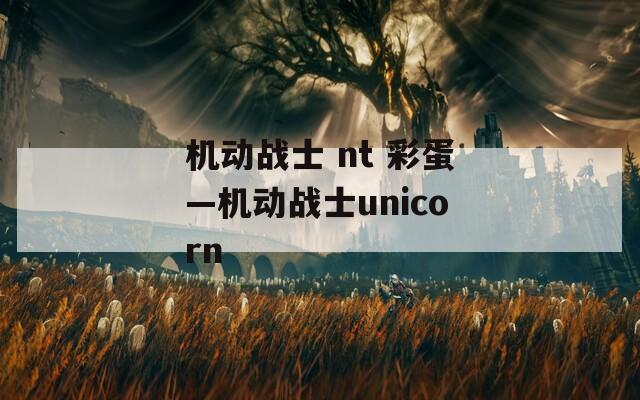 機(jī)動(dòng)戰(zhàn)士 nt 彩蛋—機(jī)動(dòng)戰(zhàn)士unicorn