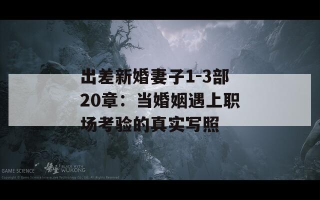 出差新婚妻子1-3部20章：當(dāng)婚姻遇上職場考驗的真實寫照