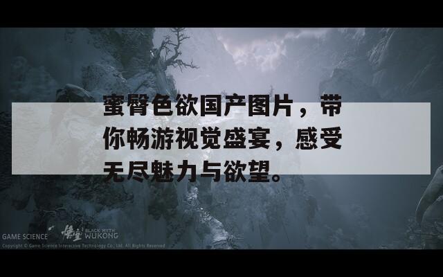 蜜臀色欲國產(chǎn)圖片，帶你暢游視覺盛宴，感受無盡魅力與欲望。