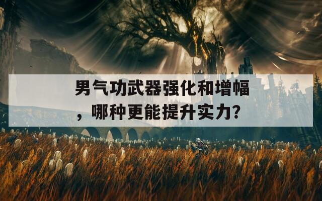男氣功武器強(qiáng)化和增幅，哪種更能提升實(shí)力？