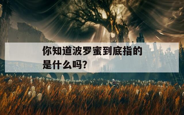 你知道波羅蜜到底指的是什么嗎？