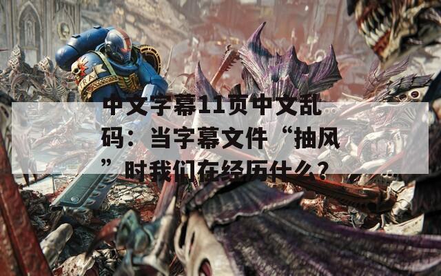 中文字幕11頁(yè)中文亂碼：當(dāng)字幕文件“抽風(fēng)”時(shí)我們?cè)诮?jīng)歷什么？