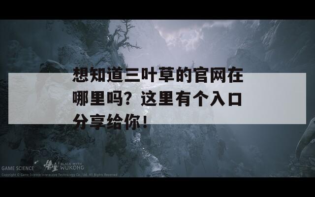 想知道三葉草的官網(wǎng)在哪里嗎？這里有個(gè)入口分享給你！