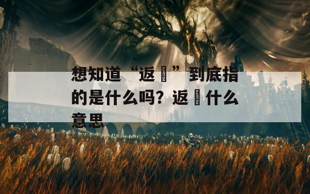想知道“返穂”到底指的是什么嗎？返穂什么意思