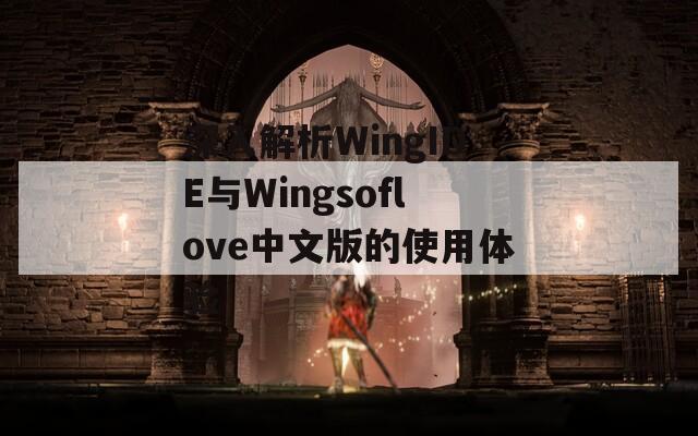 深入解析WingIDE與Wingsoflove中文版的使用體驗(yàn)