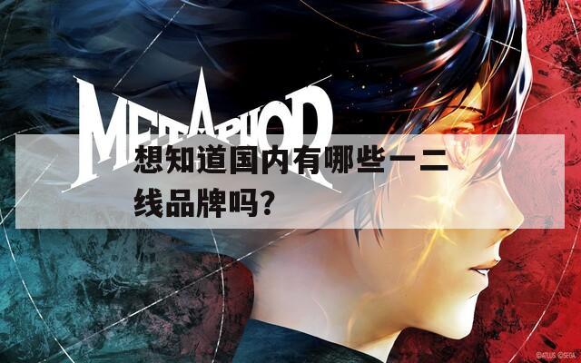 想知道國內(nèi)有哪些一二線品牌嗎？