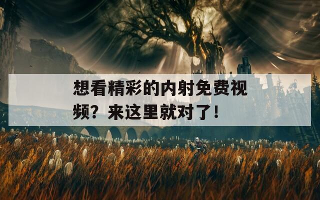 想看精彩的內射免費視頻？來這里就對了！