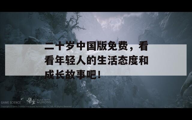 二十歲中國版免費，看看年輕人的生活態(tài)度和成長故事吧！