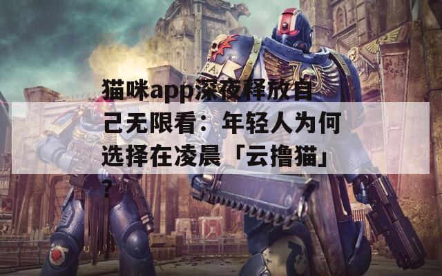 貓咪app深夜釋放自己無限看：年輕人為何選擇在凌晨「云擼貓」？
