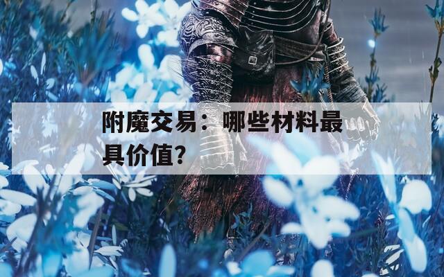 附魔交易：哪些材料最具價(jià)值？