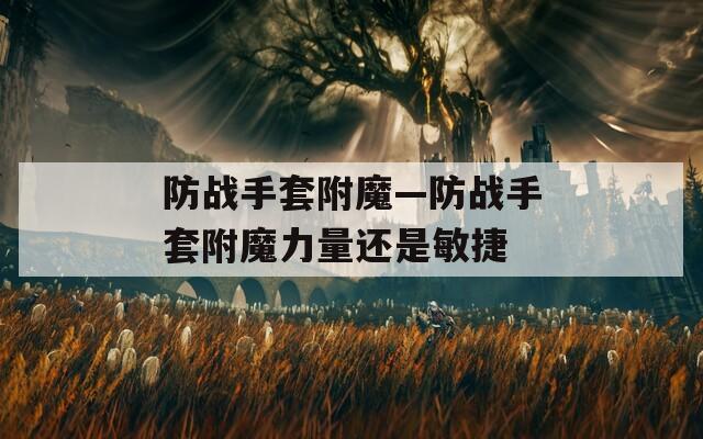 防戰(zhàn)手套附魔—防戰(zhàn)手套附魔力量還是敏捷