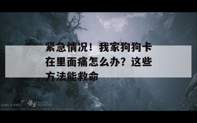 緊急情況！我家狗狗卡在里面痛怎么辦？這些方法能救命