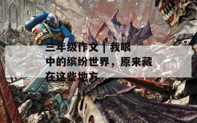 三年級作文 | 我眼中的繽紛世界，原來藏在這些地方