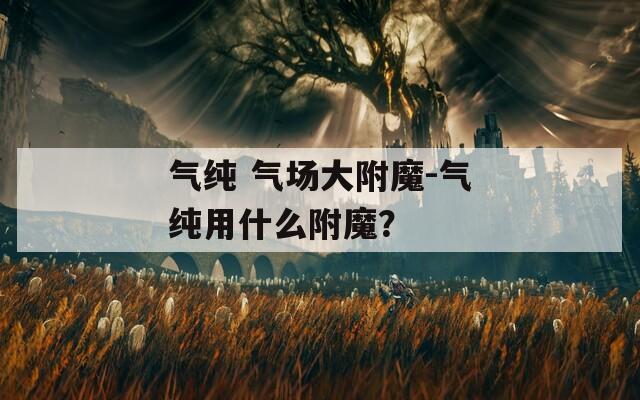 氣純 氣場(chǎng)大附魔-氣純用什么附魔？