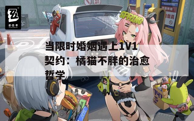 當(dāng)限時(shí)婚姻遇上1V1契約：橘貓不胖的治愈哲學(xué)