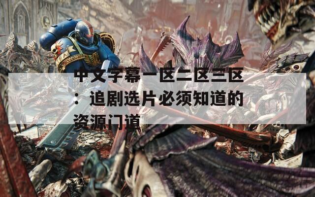 中文字幕一區(qū)二區(qū)三區(qū)：追劇選片必須知道的資源門道